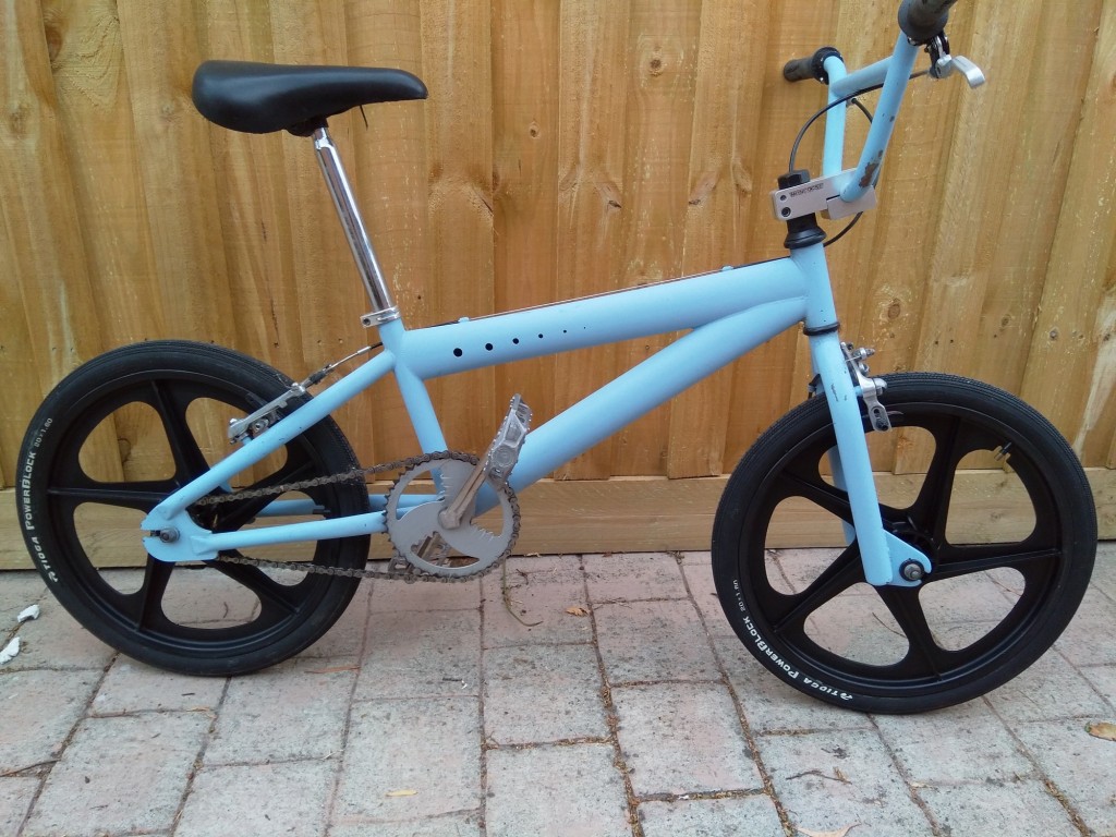 BMX1