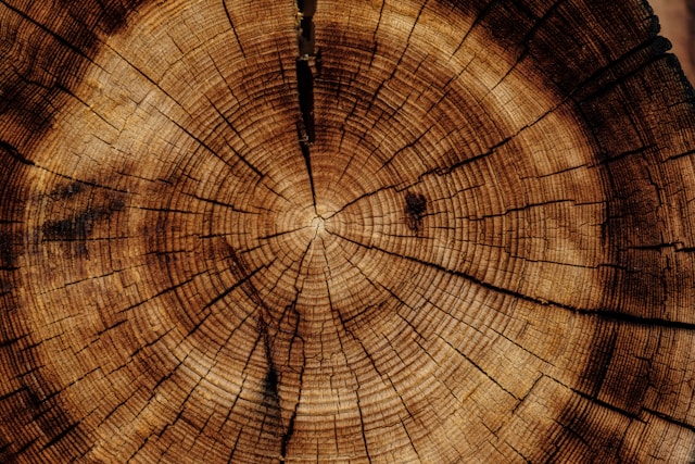 Logs